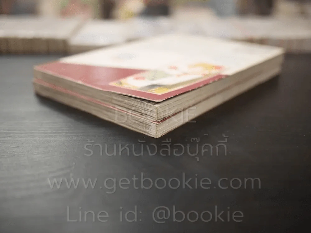 วาดฝันถึงวันสดใส 2 เล่มจบ รูปที่ 4