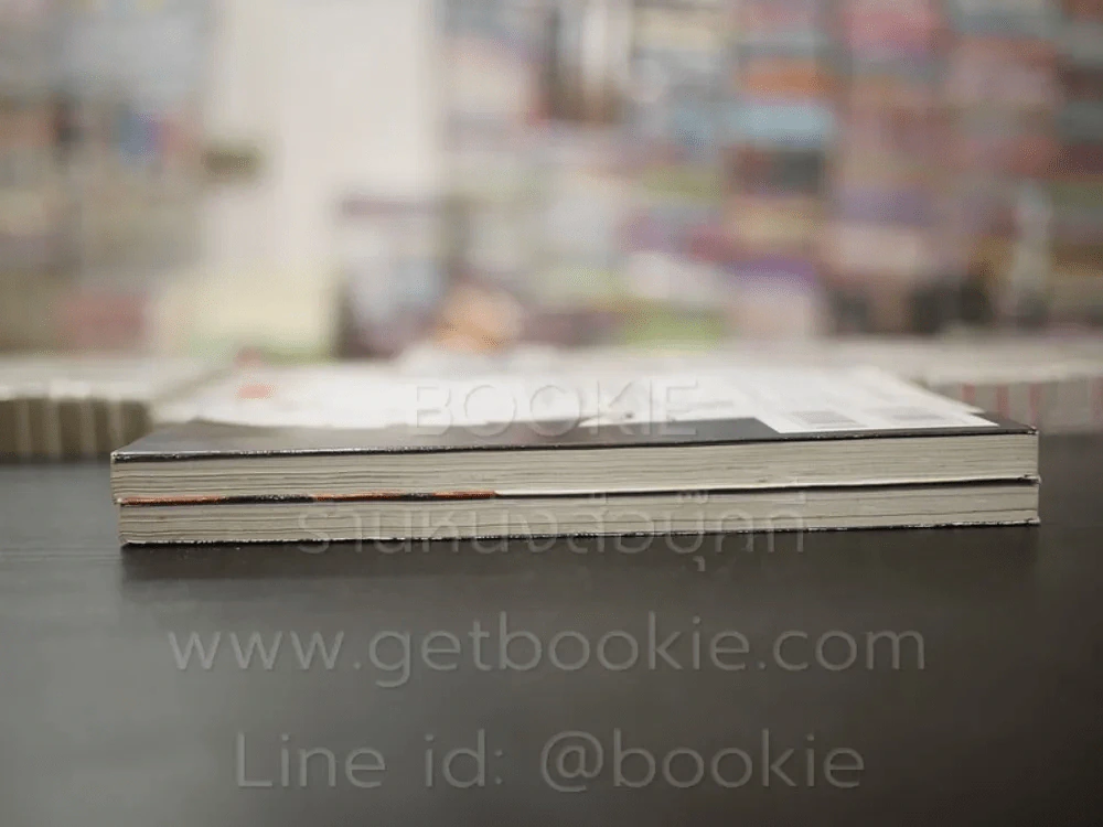 ผู้ส่งวิญญาณ 2 เล่มจบ รูปที่ 3