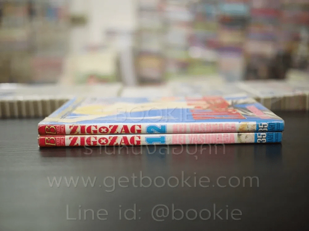 ZIG X ZAG ซิกแซก 2 เล่มจบ รูปที่ 2