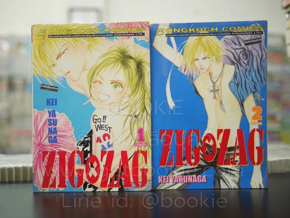 ZIG X ZAG ซิกแซก 2 เล่มจบ รูปที่ 1
