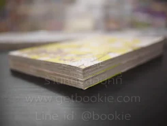 อลัน-กับ-ตุ๊กตามายาฝัน 2 เล่มจบ รูปที่ 4