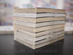 Ifrin เพลิงเพชฌฆาต 9 เล่มจบ รูปที่ 4