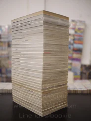 หนุ่มหล่อเฟี้ยวแปลงโฉมสาว 36 เล่มจบ (ขาดเล่ม 33-36) รูปที่ 5