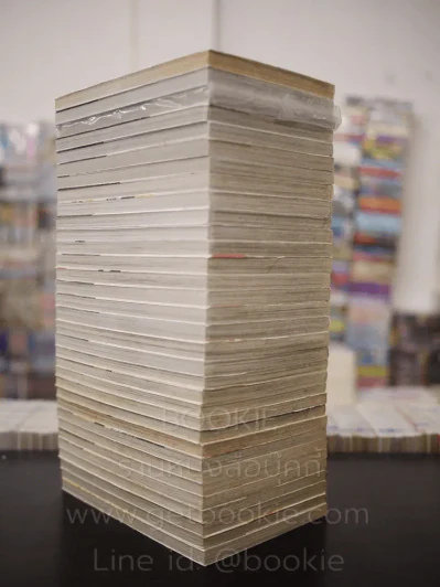 หนุ่มหล่อเฟี้ยวแปลงโฉมสาว 36 เล่มจบ (ขาดเล่ม 33-36) รูปที่ 5