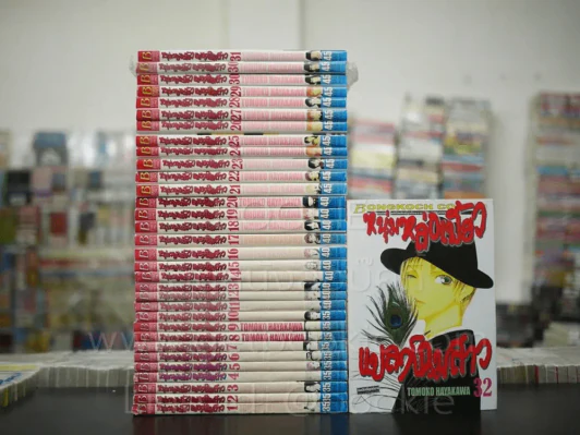 หนุ่มหล่อเฟี้ยวแปลงโฉมสาว 36 เล่มจบ (ขาดเล่ม 33-36) รูปที่ 1