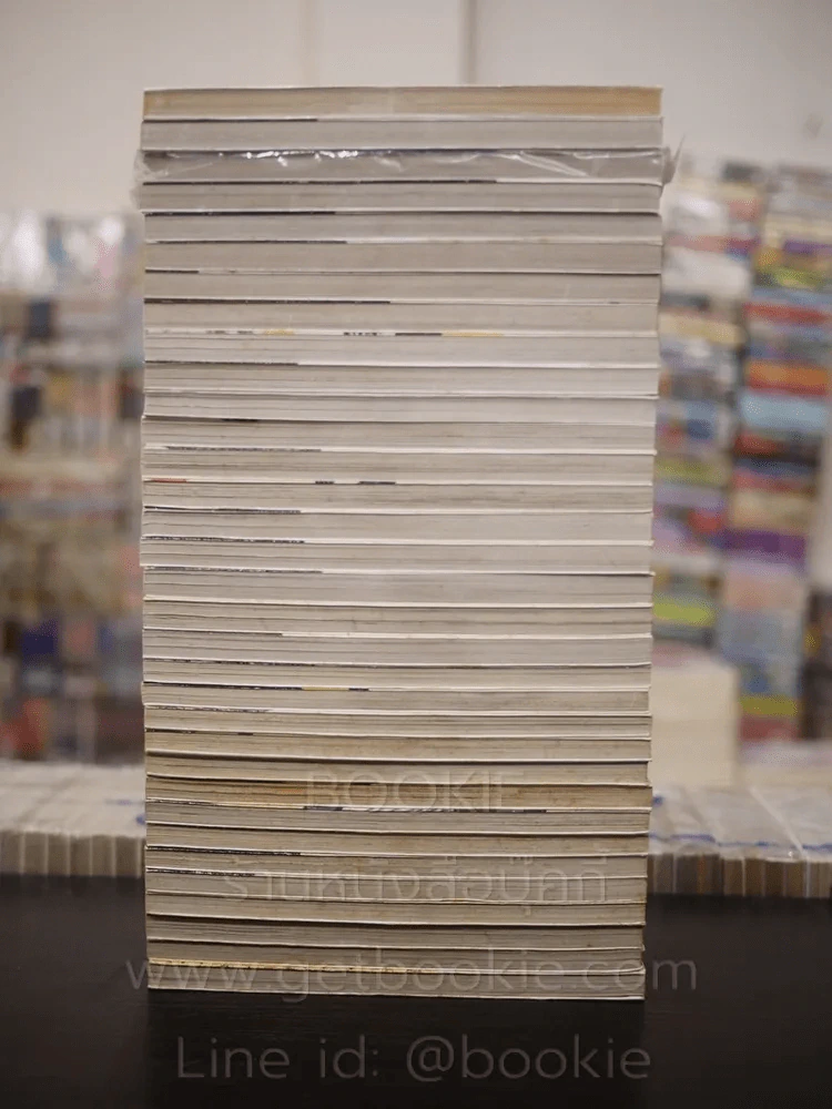 หนุ่มหล่อเฟี้ยวแปลงโฉมสาว 36 เล่มจบ (ขาดเล่ม 33-36) รูปที่ 3