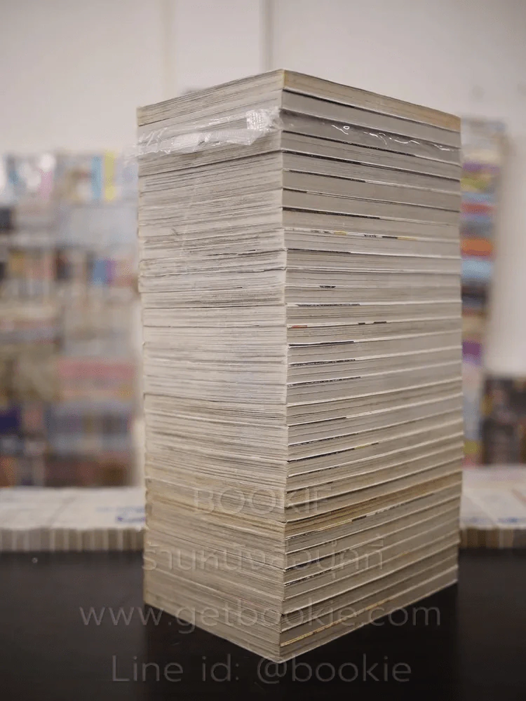 หนุ่มหล่อเฟี้ยวแปลงโฉมสาว 36 เล่มจบ (ขาดเล่ม 33-36) รูปที่ 4