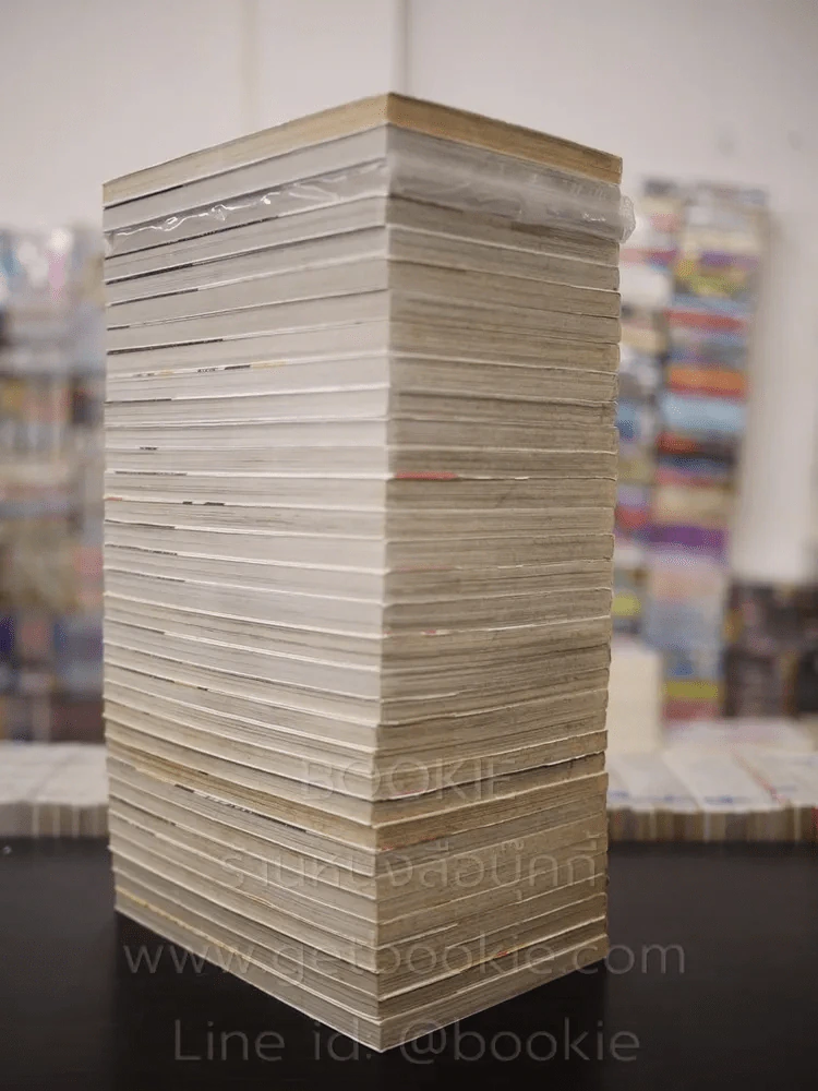 หนุ่มหล่อเฟี้ยวแปลงโฉมสาว 36 เล่มจบ (ขาดเล่ม 33-36) รูปที่ 5