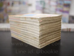 อรุณสวัสดิ์ส่งรักมาทักทาย 11 เล่มจบ (มีคราบน้ำ) รูปที่ 5
