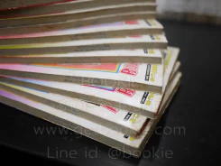 อรุณสวัสดิ์ส่งรักมาทักทาย 11 เล่มจบ (มีคราบน้ำ) รูปที่ 6