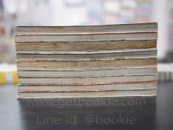 มาเฟียที่รัก 9 เล่มจบ (เล่ม 7 สภาพบวมน้ำ) รูปที่ 3