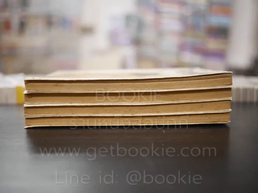แฝดสามอลเวง Brothers 4 เล่มจบ (มีคราบที่ปกน้ำทุกเล่ม) รูปที่ 3