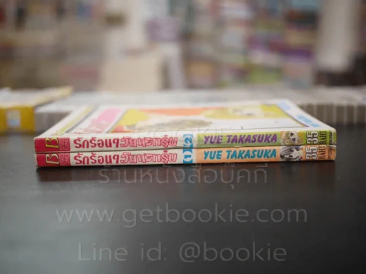 รักร้อนๆวัยแรกรุ่น 2 เล่มจบ รูปที่ 2