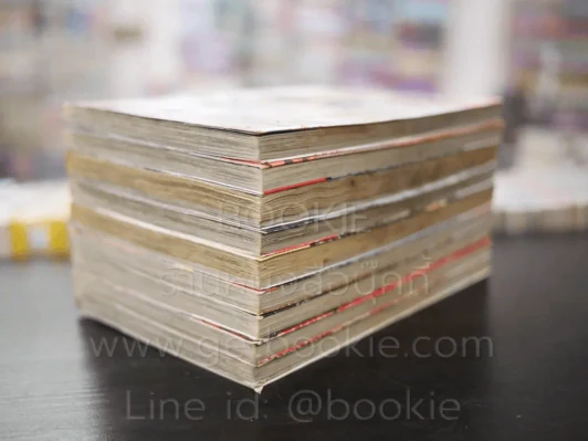 มาเฟียที่รัก 9 เล่มจบ (เล่ม 7 สภาพบวมน้ำ) รูปที่ 4