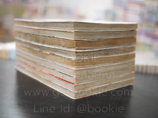 มาเฟียที่รัก 9 เล่มจบ (เล่ม 7 สภาพบวมน้ำ) รูปที่ 5