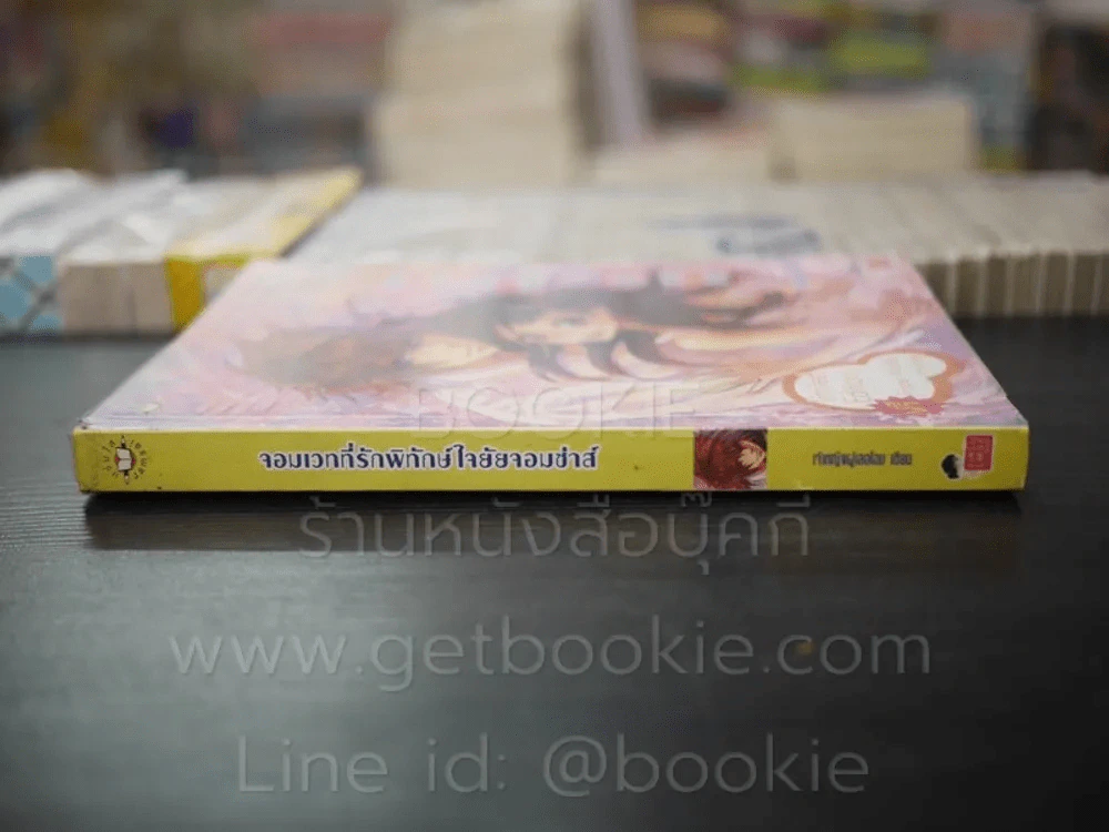 จอมเวทที่รักพิทักษ์ใจยัยจอมซ่าส์ รูปที่ 2