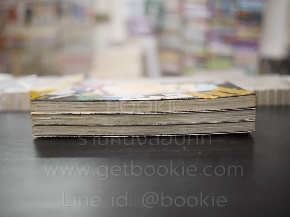 Punch หมัดรัก นักชก 3 เล่มจบ รูปที่ 3