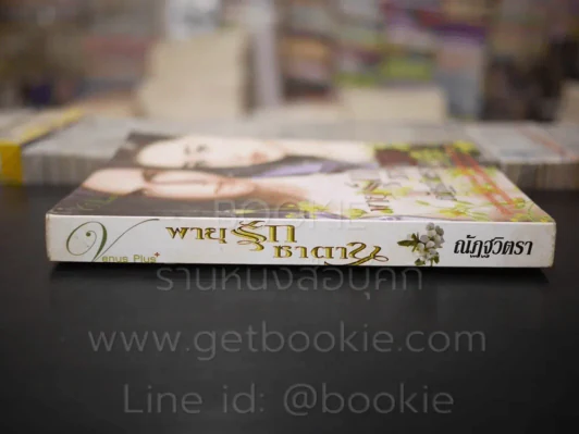พายุรักซาตาน - ณัฏฐวิตรา รูปที่ 2
