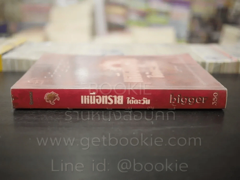 เหนือทรายใต้ตะวัน - bigger รูปที่ 2