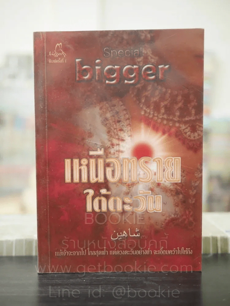 เหนือทรายใต้ตะวัน - bigger รูปที่ 1