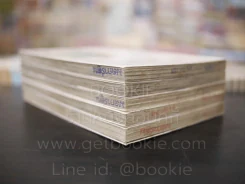 ดรีมโกลด์ล่าสมบัติรัตติกาล 5 เล่มจบ รูปที่ 5