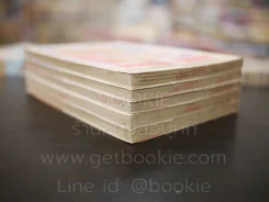 Penguin Brothers 5 เล่มจบ รูปที่ 5