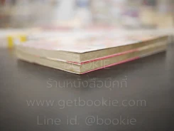 รักซ้อนซ่อนเปรี้ยว 2 เล่มจบ รูปที่ 4
