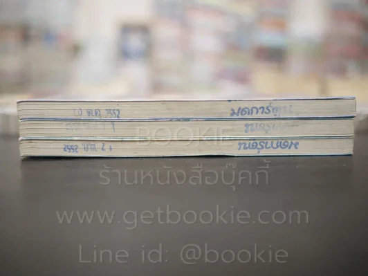 คู่อลวนแฝดอลเวง 3 เล่มจบ รูปที่ 3