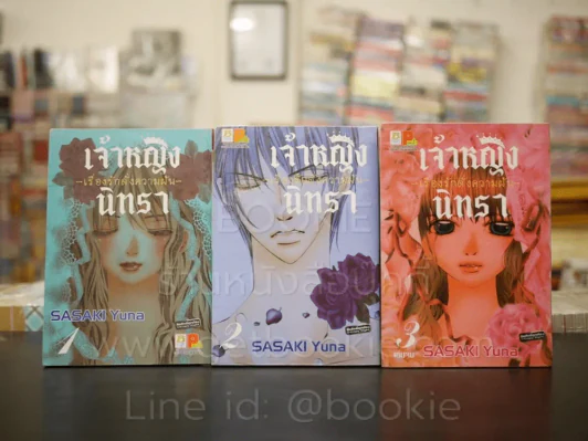 เจ้าหญิงนิทรา เรื่องรักดั่งความฝัน 3 เล่มจบ รูปที่ 1