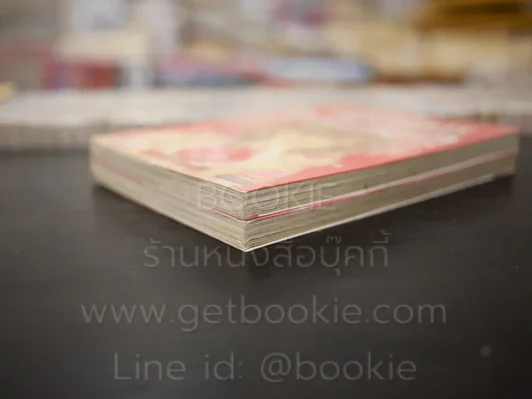 ปฏิบัติการตามล่าหารัก 2 เล่มจบ รูปที่ 4