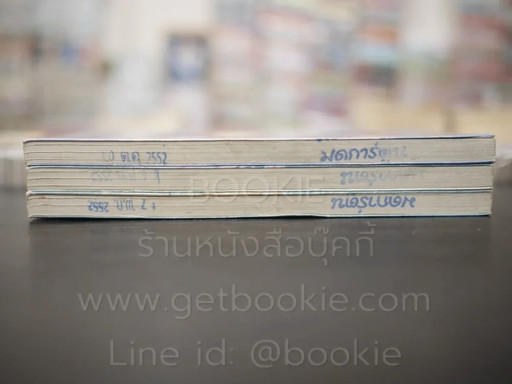 คู่อลวนแฝดอลเวง 3 เล่มจบ รูปที่ 3
