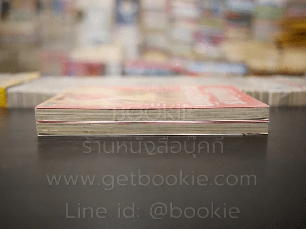ปฏิบัติการตามล่าหารัก 2 เล่มจบ รูปที่ 3