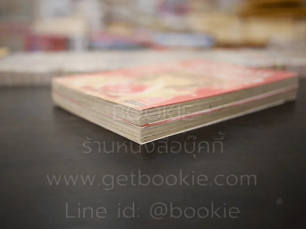 ปฏิบัติการตามล่าหารัก 2 เล่มจบ รูปที่ 4