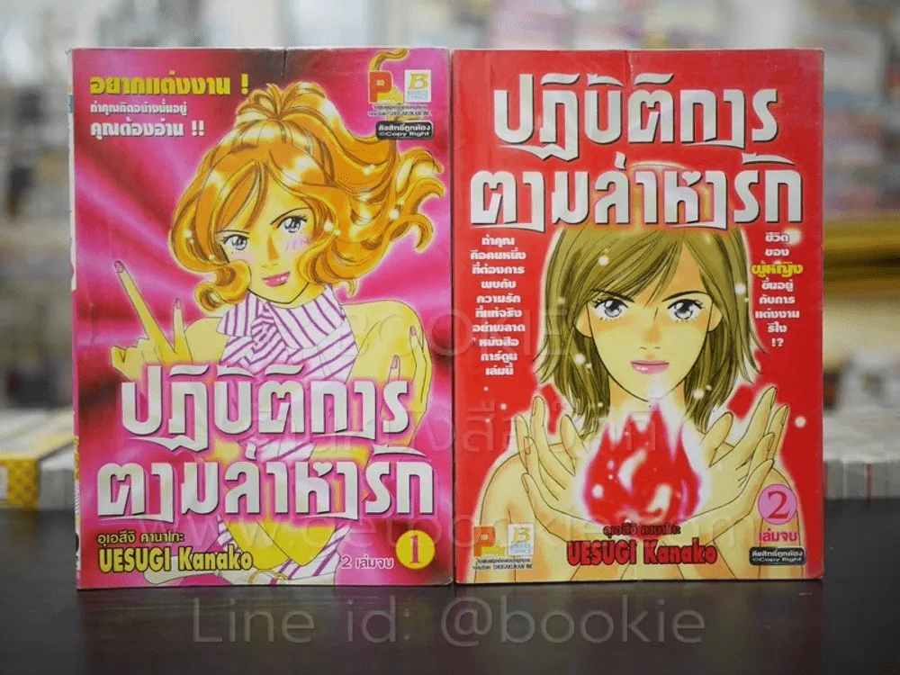 ปฏิบัติการตามล่าหารัก 2 เล่มจบ รูปที่ 1