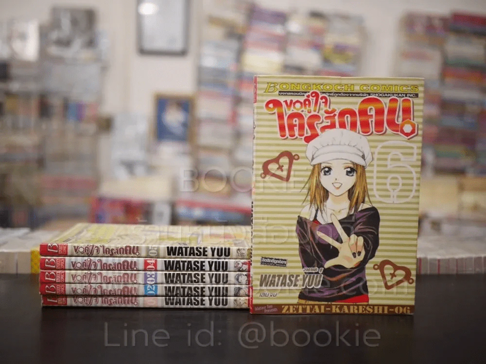 ขอคู่ใจใครสักคน 6 เล่มจบ รูปที่ 1