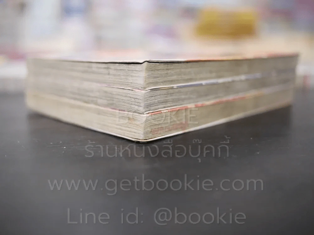 ซามูไรทะลุมิติ 3 เล่มจบ รูปที่ 4