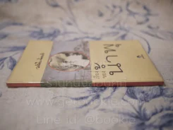 เรื่องของน้ำพุ - วงศ์เมือง นันทขว้าง รูปที่ 2