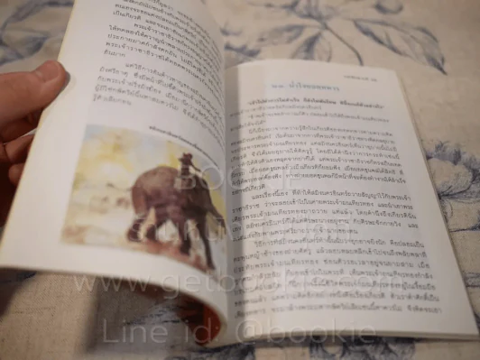 วรรณวิจิตร ราชาธิราช-กากี รูปที่ 3