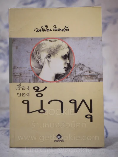 เรื่องของน้ำพุ - วงศ์เมือง นันทขว้าง รูปที่ 1