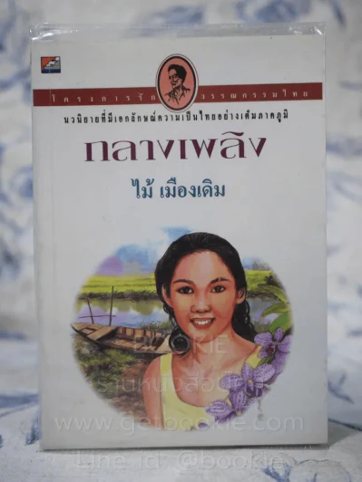กลางเพลิง - ไม้เมืองเดิม รูปที่ 1