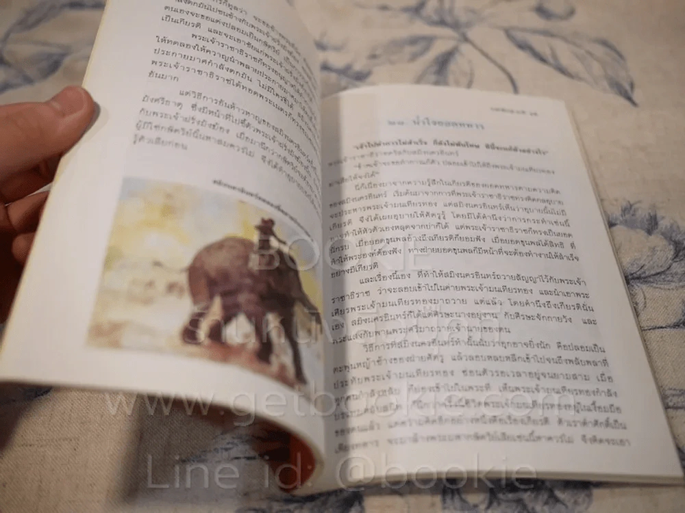 วรรณวิจิตร ราชาธิราช-กากี รูปที่ 3