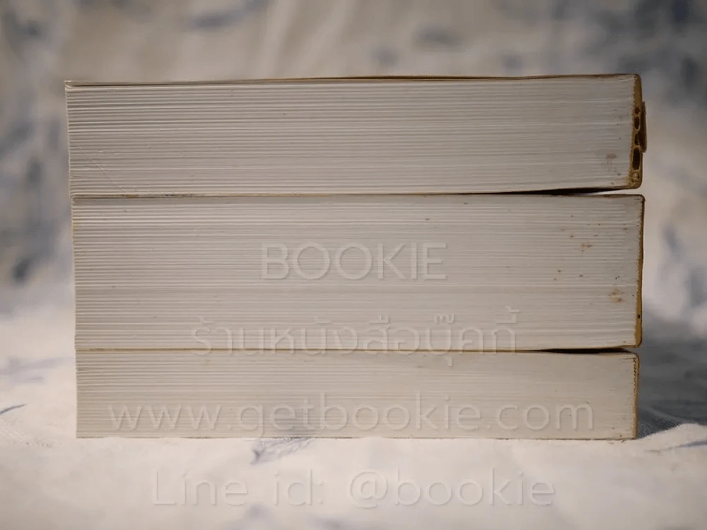 บันทึกความจำ เทียม โชควัฒนา Boxset 3 เล่ม รูปที่ 8