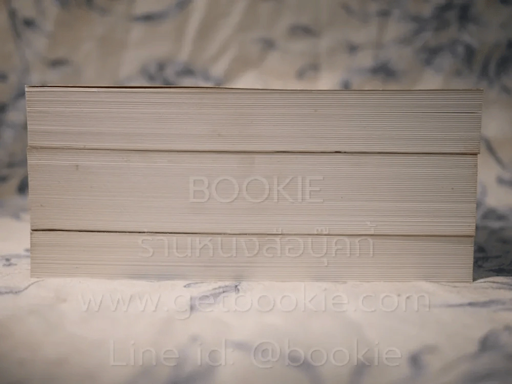 บันทึกความจำ เทียม โชควัฒนา Boxset 3 เล่ม รูปที่ 9