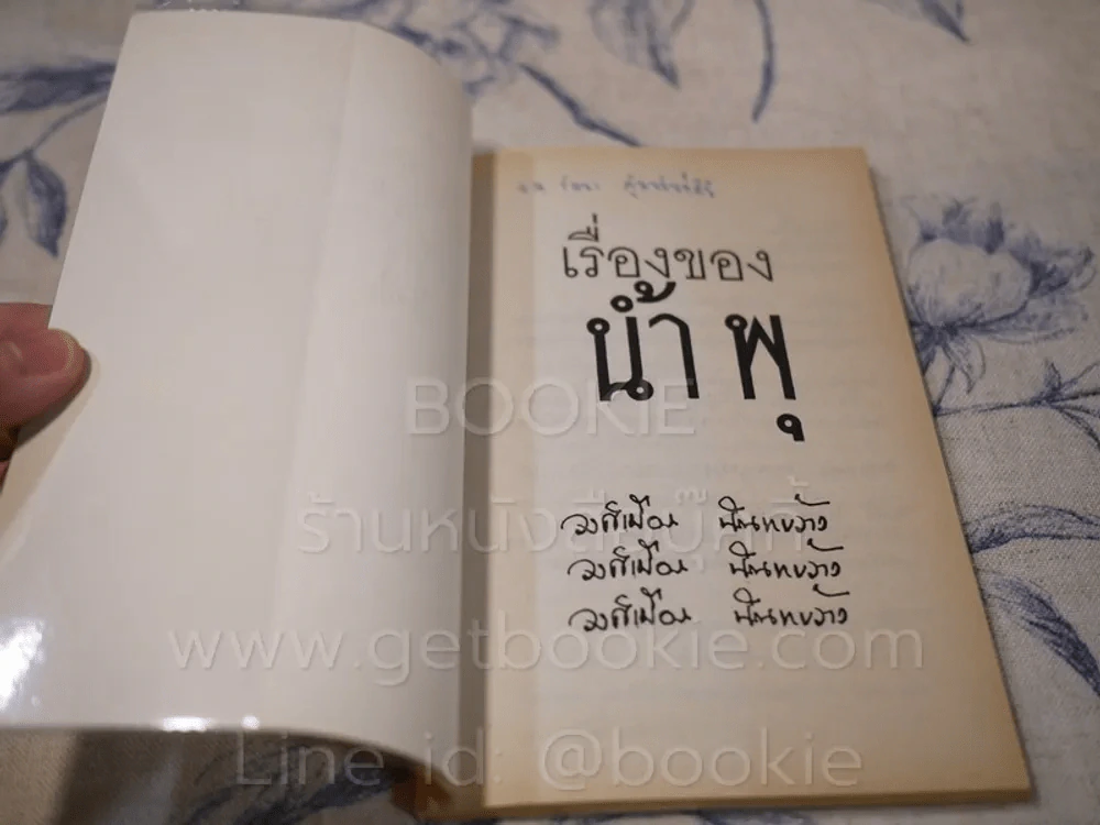 เรื่องของน้ำพุ - วงศ์เมือง นันทขว้าง รูปที่ 3
