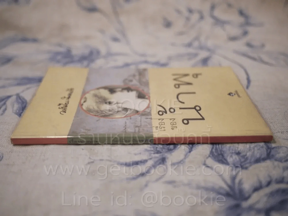 เรื่องของน้ำพุ - วงศ์เมือง นันทขว้าง รูปที่ 2