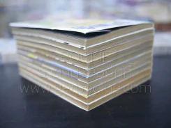 ข้ามภพมาพบรัก 10 เล่มจบ รูปที่ 5