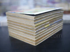 ข้ามภพมาพบรัก 10 เล่มจบ รูปที่ 4