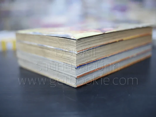 พยัคฆ์ ผู้พิทักษ์สุดขอบโลก 4 เล่มจบ รูปที่ 4