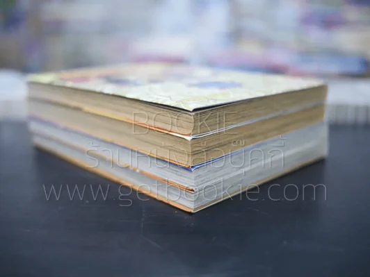 พยัคฆ์ ผู้พิทักษ์สุดขอบโลก 4 เล่มจบ รูปที่ 5