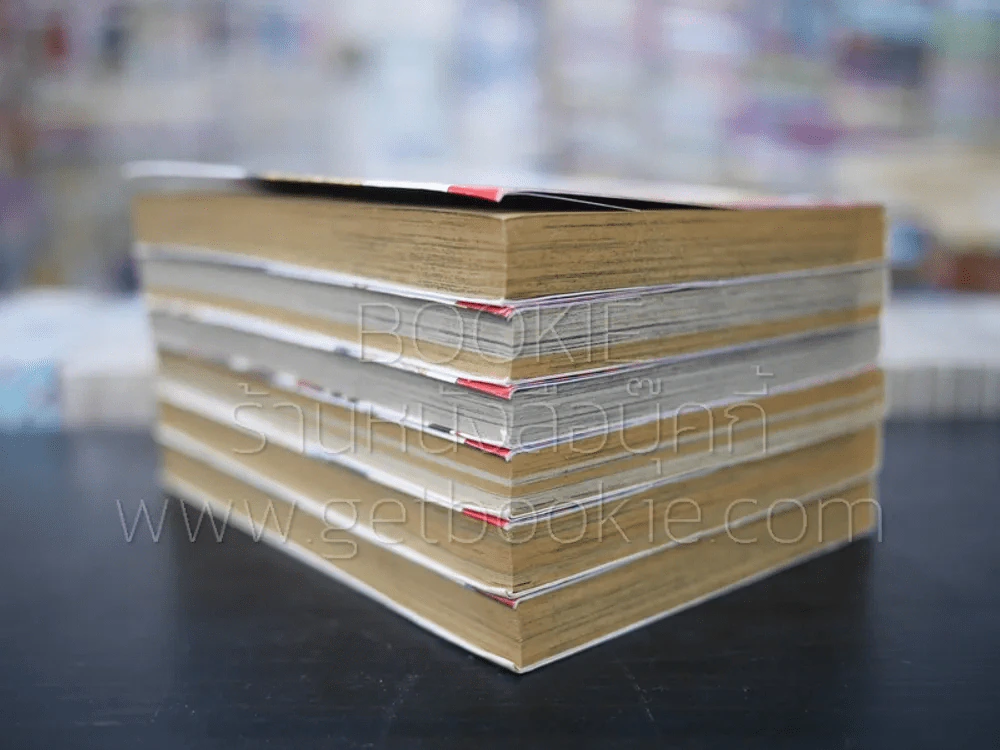 นักสืบเมียแสบ 6 เล่มจบ รูปที่ 5